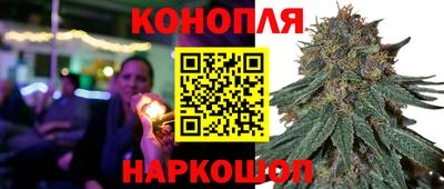 молекула духа Камышлов