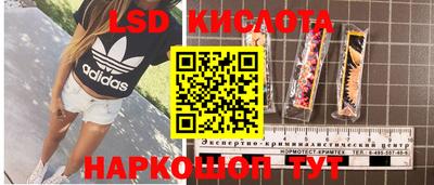 молекула духа Камышлов