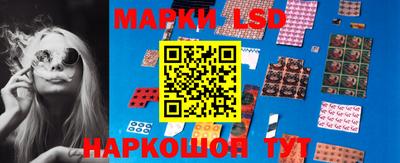 молекула духа Камышлов