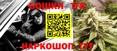 молекула духа Камышлов