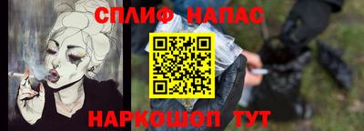молекула духа Камышлов