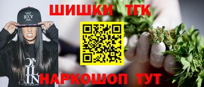 молекула духа Камышлов