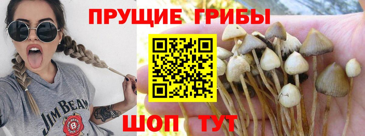 цена наркотик  Галлюциногенные грибы прущие грибы  Псилоцибиновые грибы ЛСД  Вход с VPN  Кубинка 